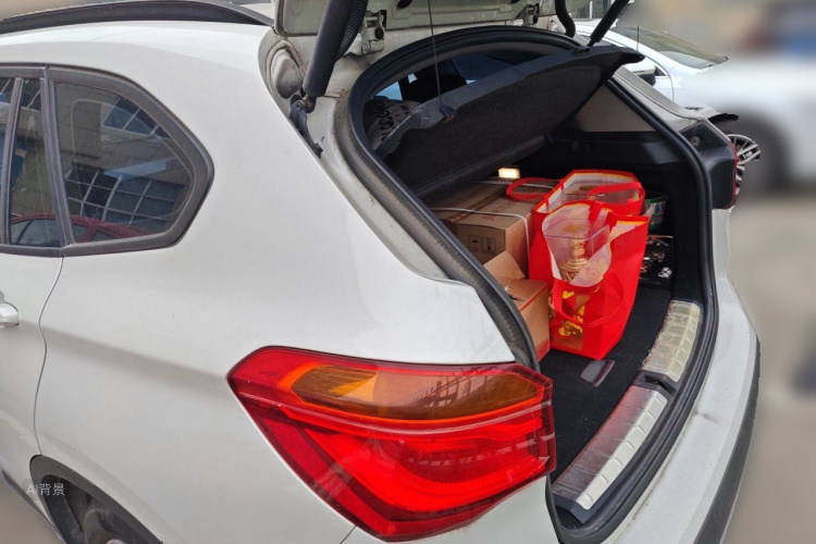 BMW X1 2017 #21 BMW X1 2017 car image #21