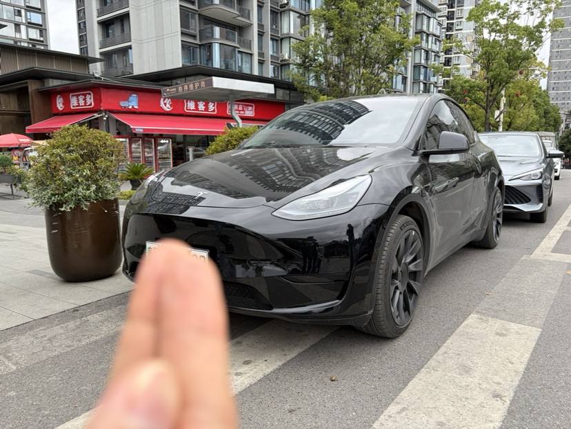 Tesla Model Y 2023 car image 