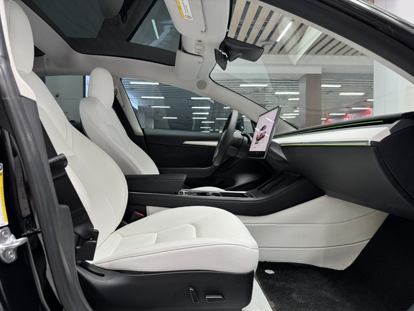 Tesla Model 3 2022 car image #19
