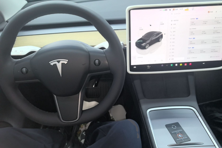 Tesla Model Y 2023 #10 Tesla Model Y 2023 car image #10