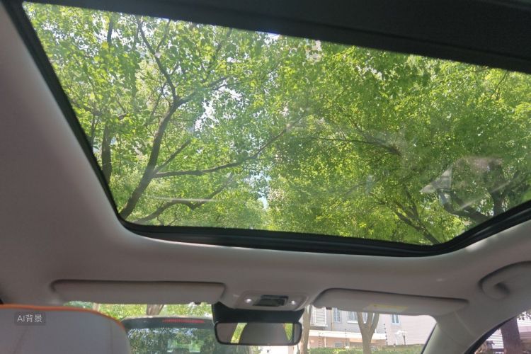 BYD Yuan Plus 2024 car image #20