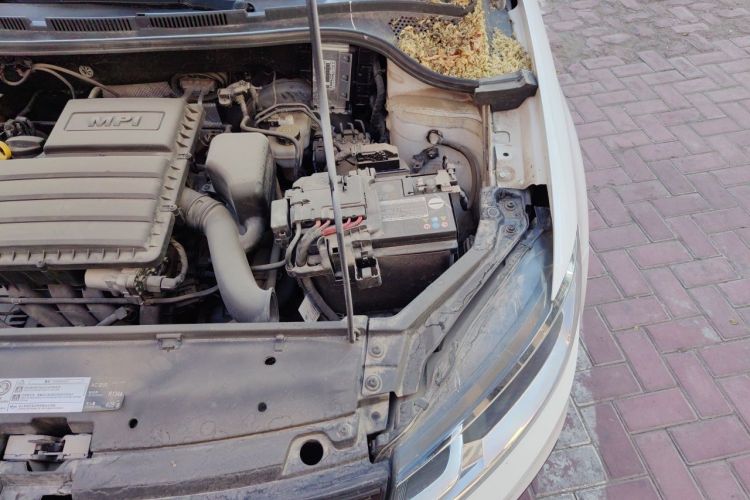 Volkswagen Santana 2023 immagine di auto #25
