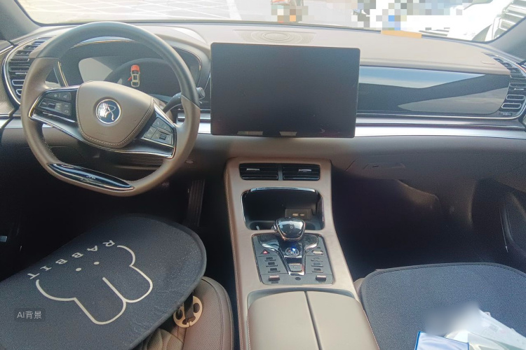 BYD Han 2024 car image #11