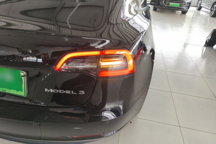 Tesla Model 3 2021 car image #8