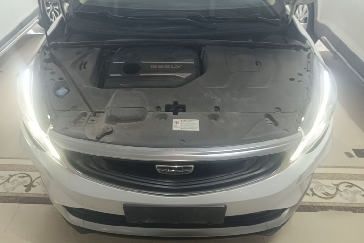 GEELY Emgrand GS 2020 #20 GEELY Emgrand GS 2020 car image #20