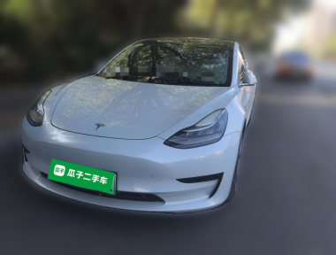 Tesla Model 3 2020 Tesla Model 3 2020 car image