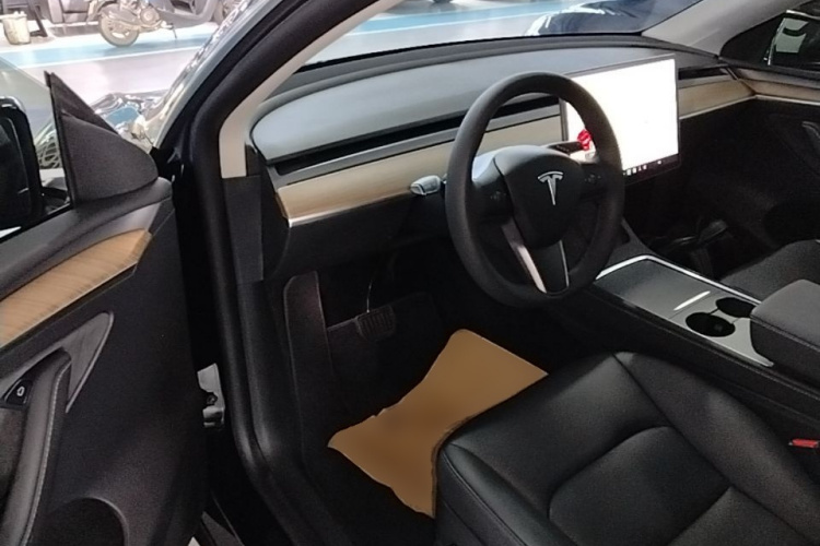 Tesla Model Y 2021 car image #16