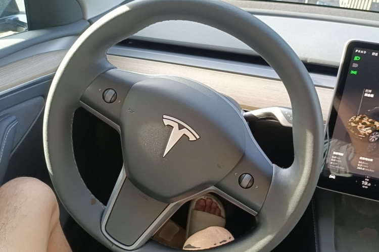 Tesla Model Y 2023 #11 Tesla Model Y 2023 car image #11