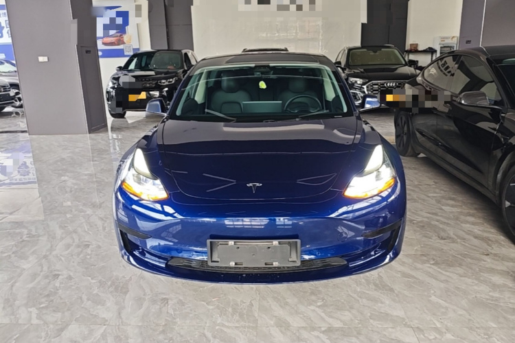 Tesla Model 3 2021 #3 Tesla Model 3 2021 car image #3