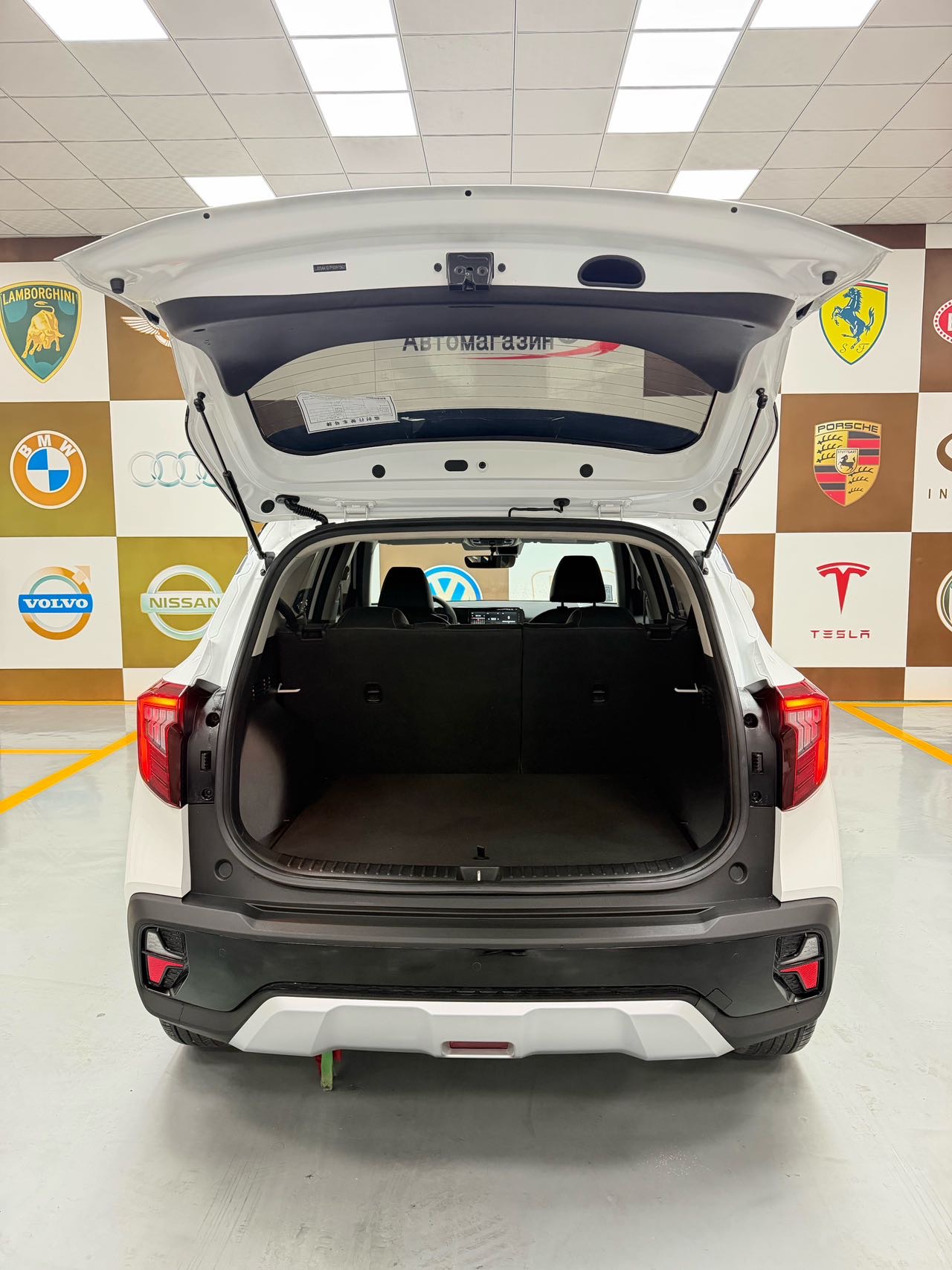 起亚 赛图斯 2023 汽车图片 #16