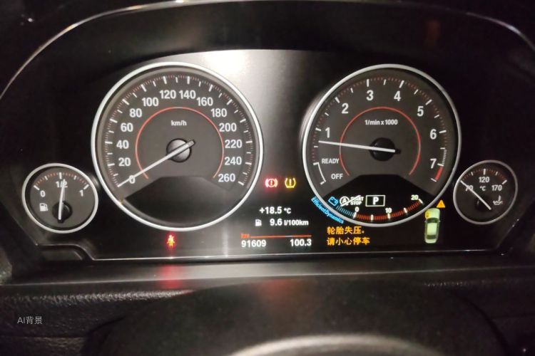 BMW 3 Series 2018 car image #13