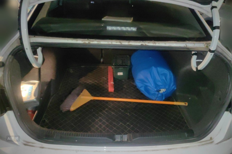 2019 image de voiture #21