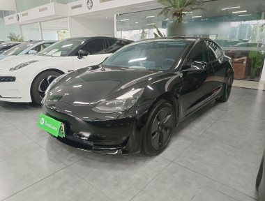 Tesla Model 3 2021 car image 