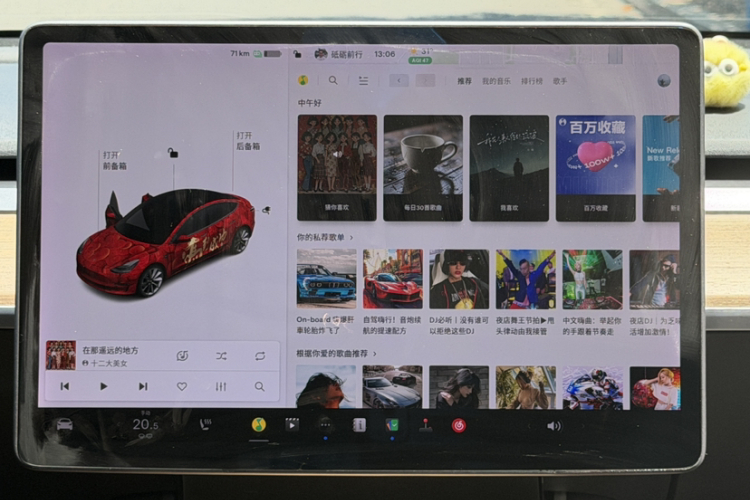 Tesla Model 3 2020 car image #19