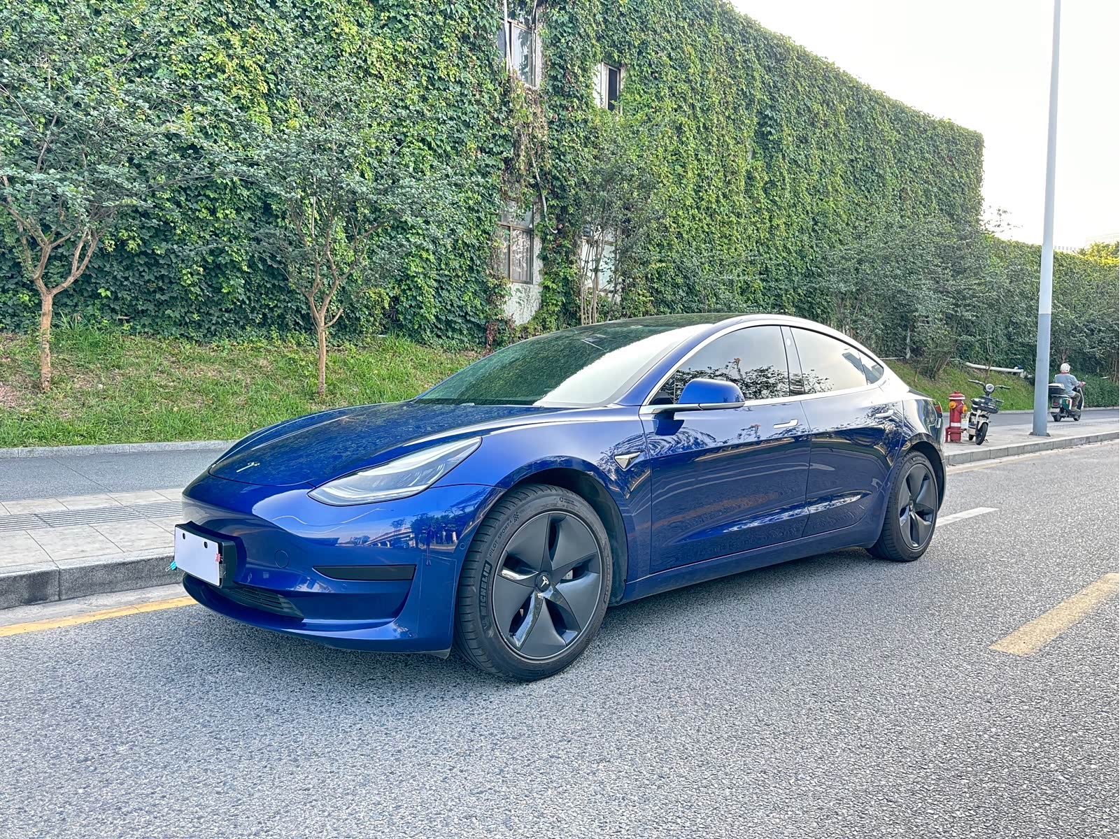 Tesla Model 3 2020 Tesla Model 3 2020 car image
