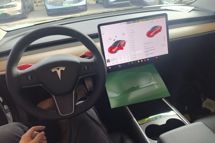Tesla Model 3 2021 car image #10