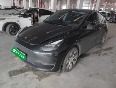 Tesla Model Y 2021 Tesla Model Y 2021 car image