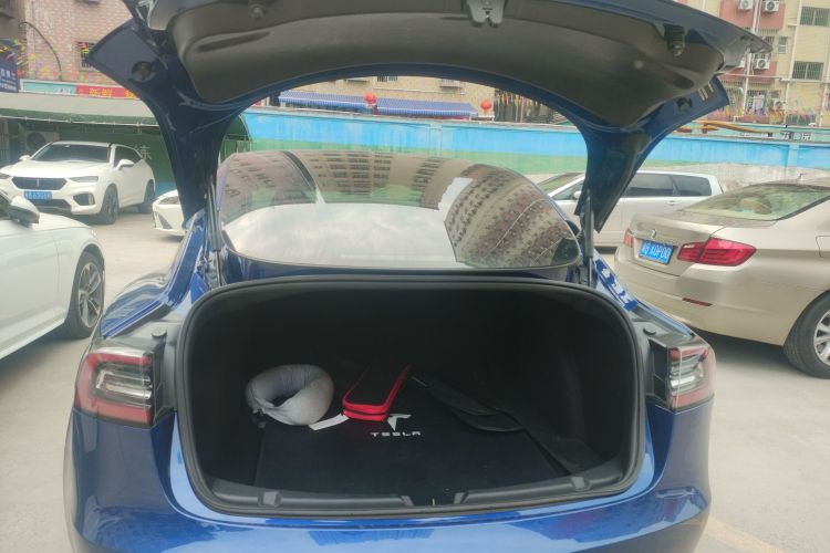 Tesla Model 3 2020 immagine di auto #21