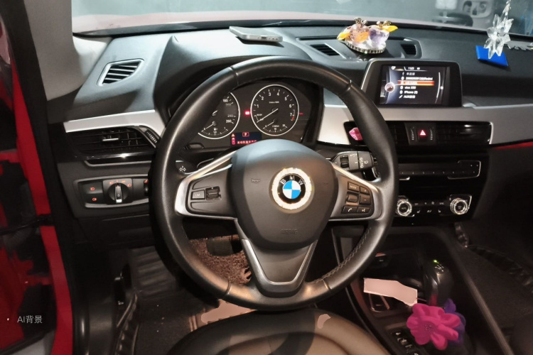BMW X1 2016 car image #12