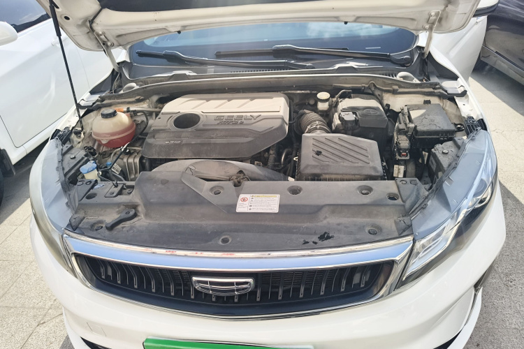 GEELY Emgrand GL 2020 imagen de coche #20