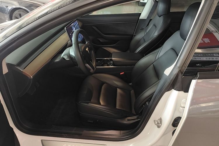 Tesla Model 3 2020 car image #15