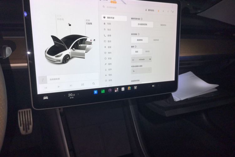 Tesla Model 3 2020 imagem de carro #13
