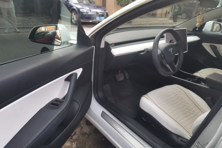 Tesla Model 3 2020 car image #13