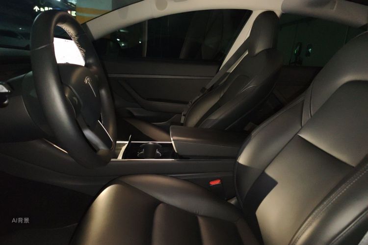 Tesla Model 3 2020 car image #17