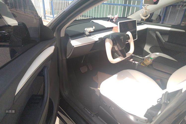 Tesla Model Y 2022 car image #18