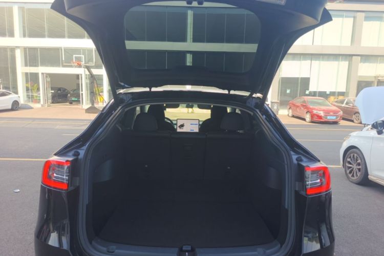Tesla Model Y 2021 car image #19