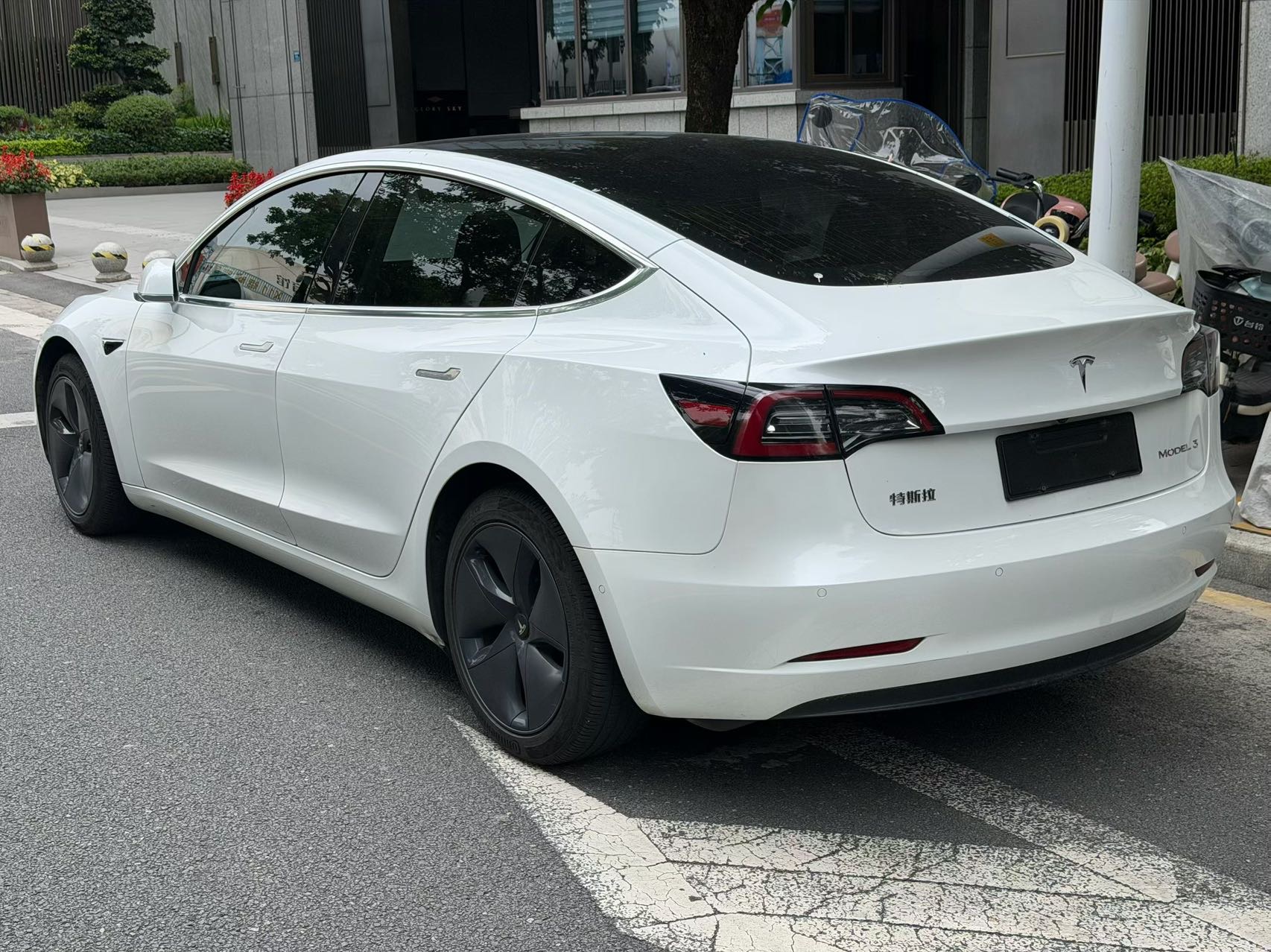 Tesla Model 3 2020 car image #7