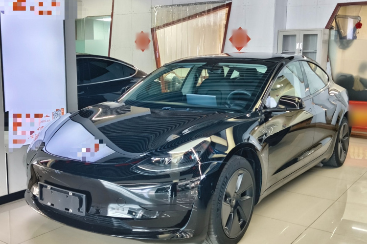 Tesla Model 3 2021 #2 Tesla Model 3 2021 car image #2