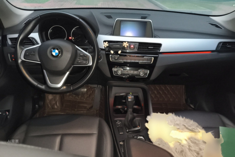 BMW X1 2018 car image #11