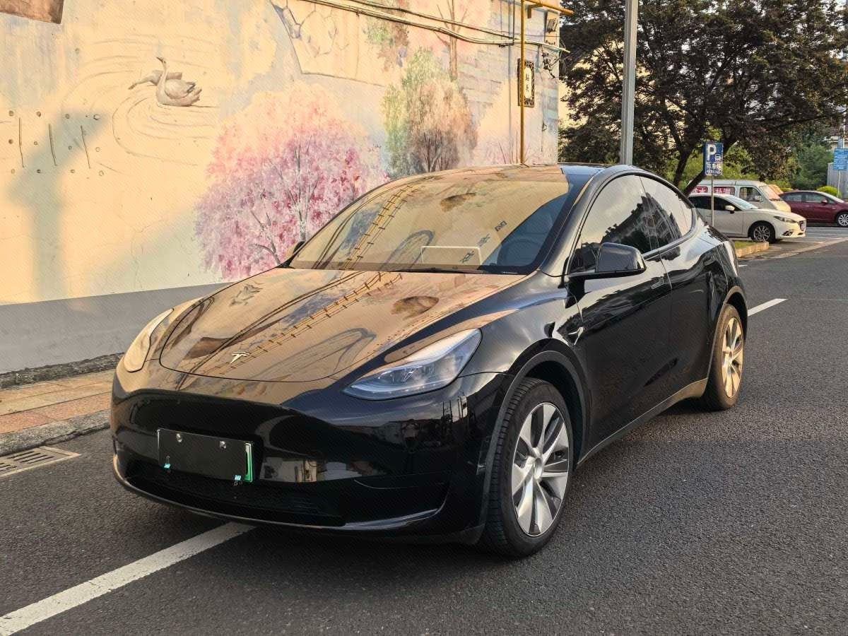 Tesla Model Y 2023 Tesla Model Y 2023 car image