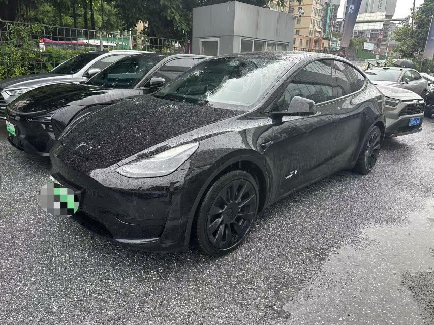 Tesla Model Y 2022 Tesla Model Y 2022 car image