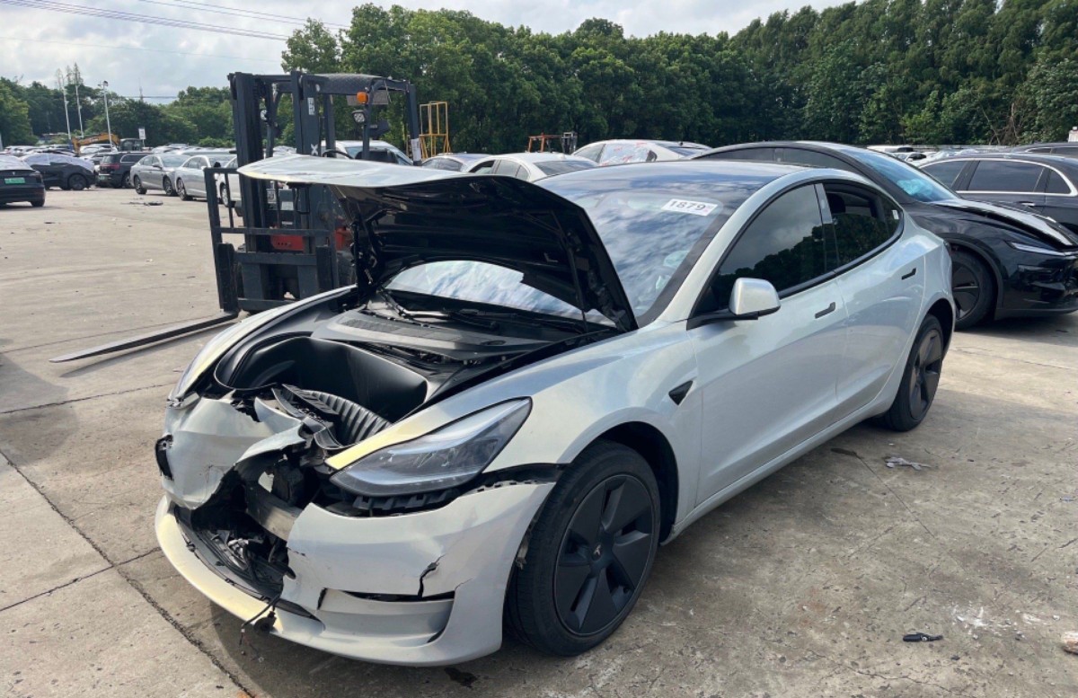 Tesla Model 3 2023 #4 Tesla Model 3 2023 car image #4