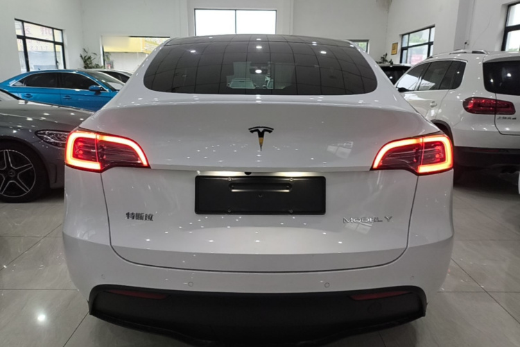 Tesla Model Y 2021 #6 Tesla Model Y 2021 car image #6