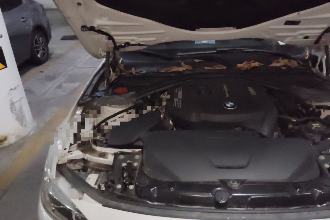 BMW 3 Series 2018 #11 BMW 3 Series 2018 immagine di auto #11