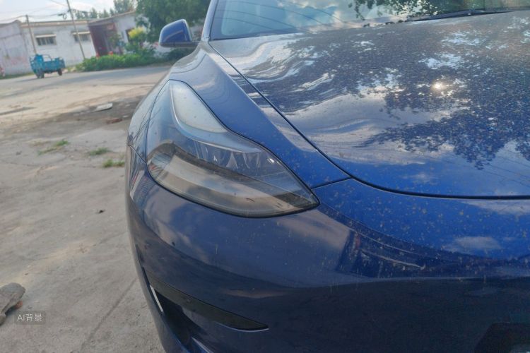 Tesla Model 3 2021 #8 Tesla Model 3 2021 car image #8