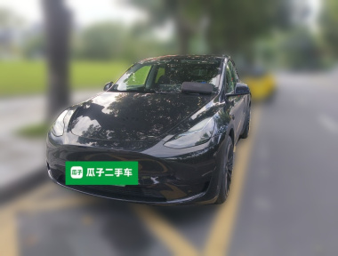 Tesla Model Y 2022 Tesla Model Y 2022 car image