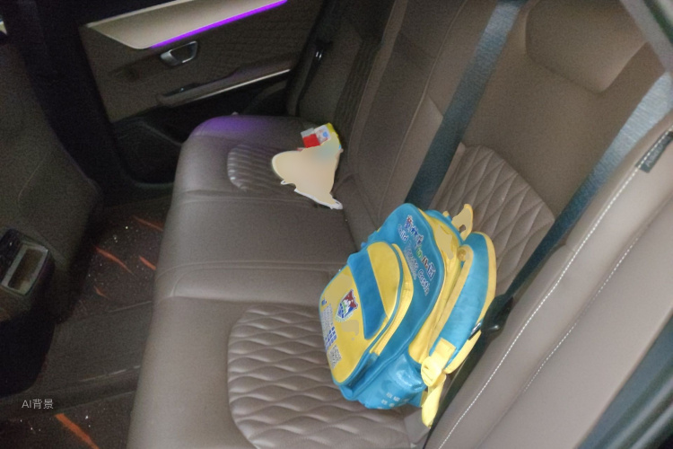 比亚迪 汉 2023 汽车图片 #19