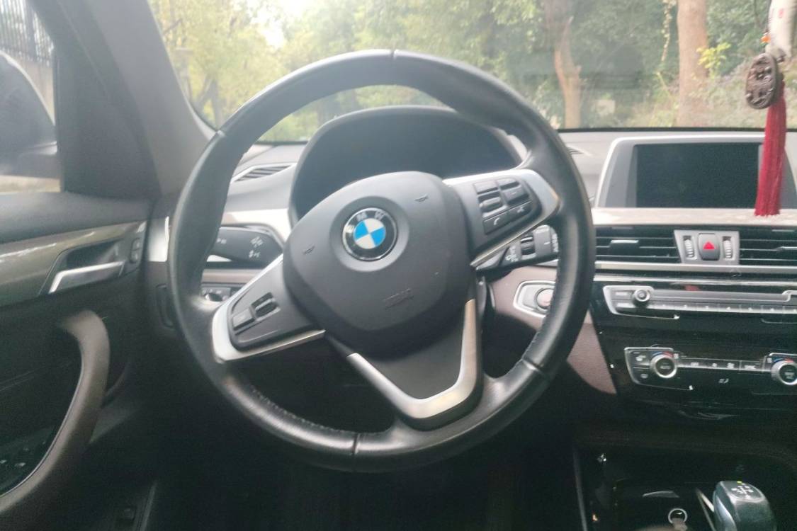 BMW X1 2018 car image #22