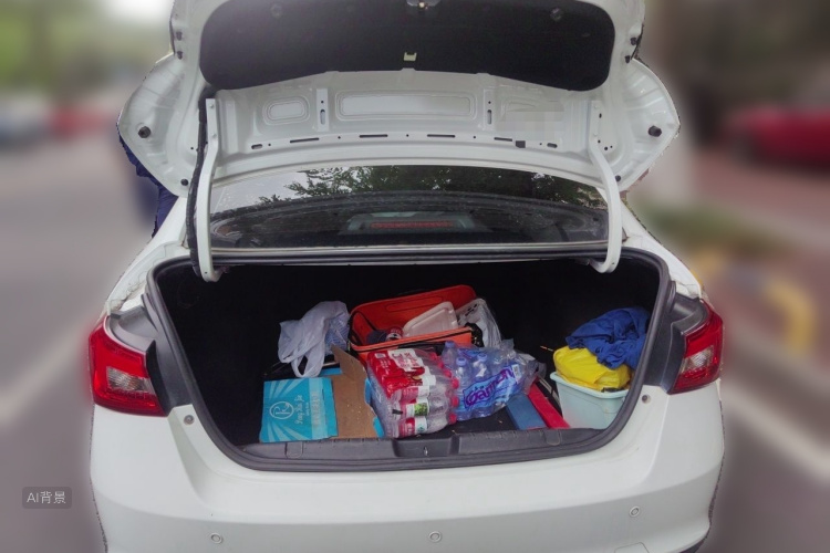 Chery Arrizo 5 2020 car image #21