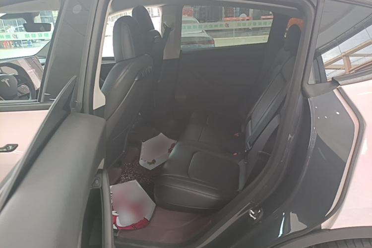 Tesla Model Y 2021 car image #13