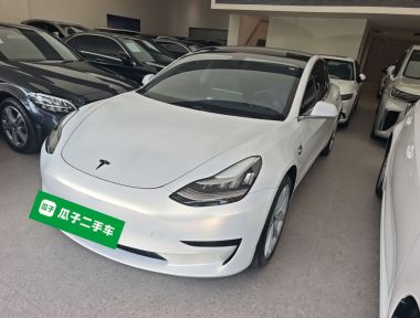 特斯拉 Model 3 2020 汽车图片 