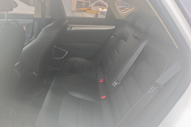 GEELY Emgrand GS 2020 car image #10
