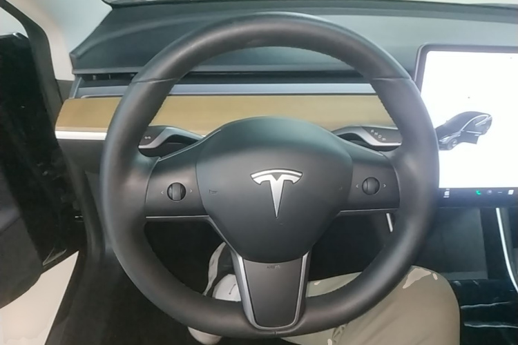 Tesla Model 3 2020 car image #11