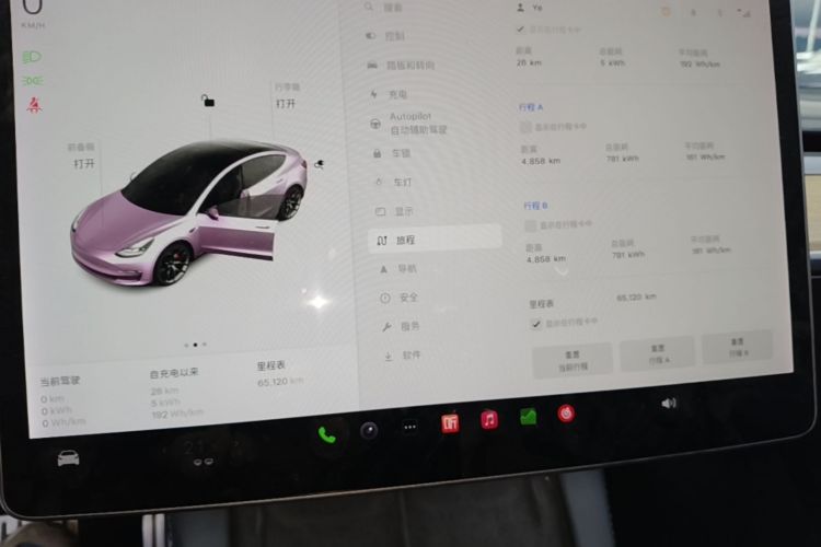 Tesla Model 3 2021 imagem de carro #12