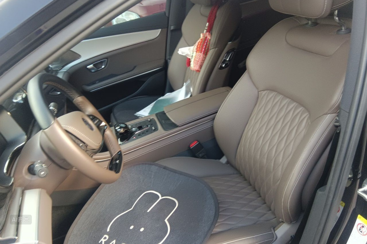 BYD Han 2024 car image #17
