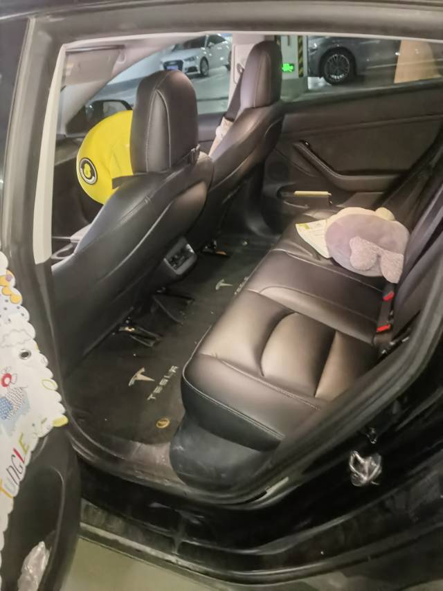 Tesla Model 3 2022 #5 Tesla Model 3 2022 car image #5